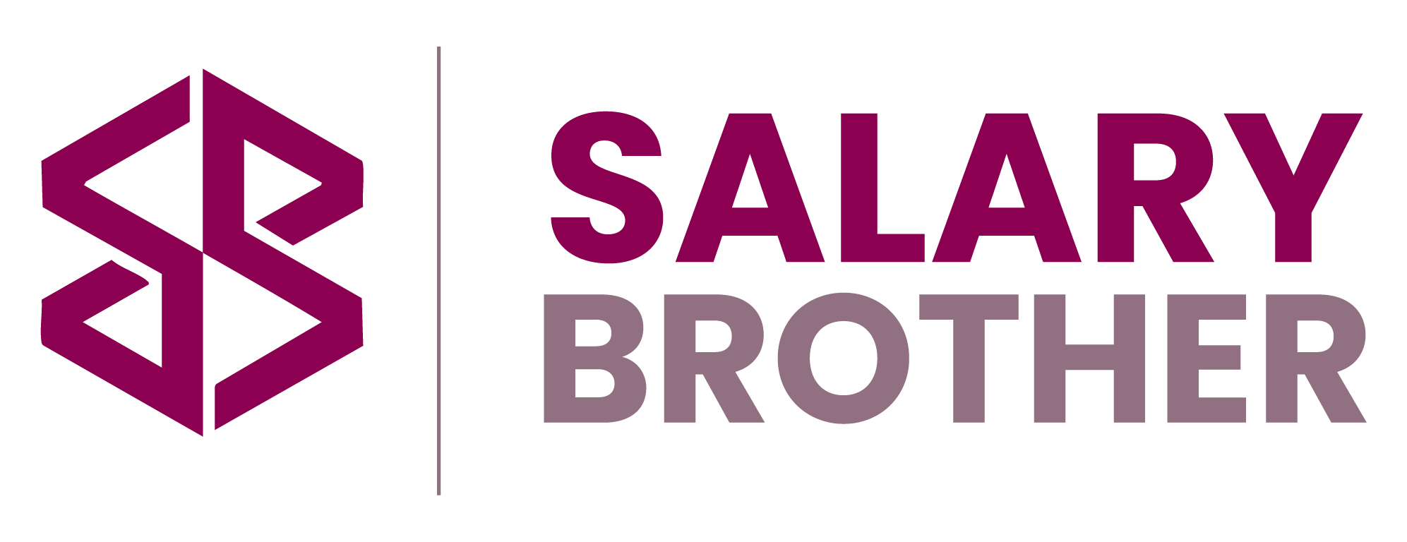 Salary Brother partner logo